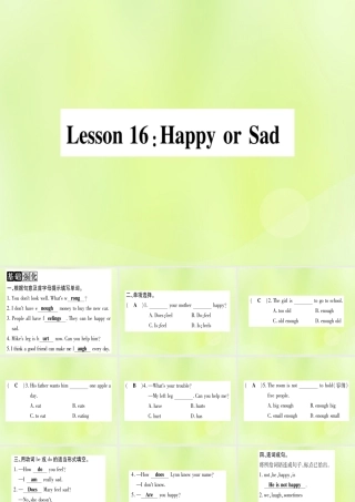 七年级英语上册 Unit 3 Body Parts and Feelings Lesson 16 Happy or Sad课件 (新版)冀教版 课件