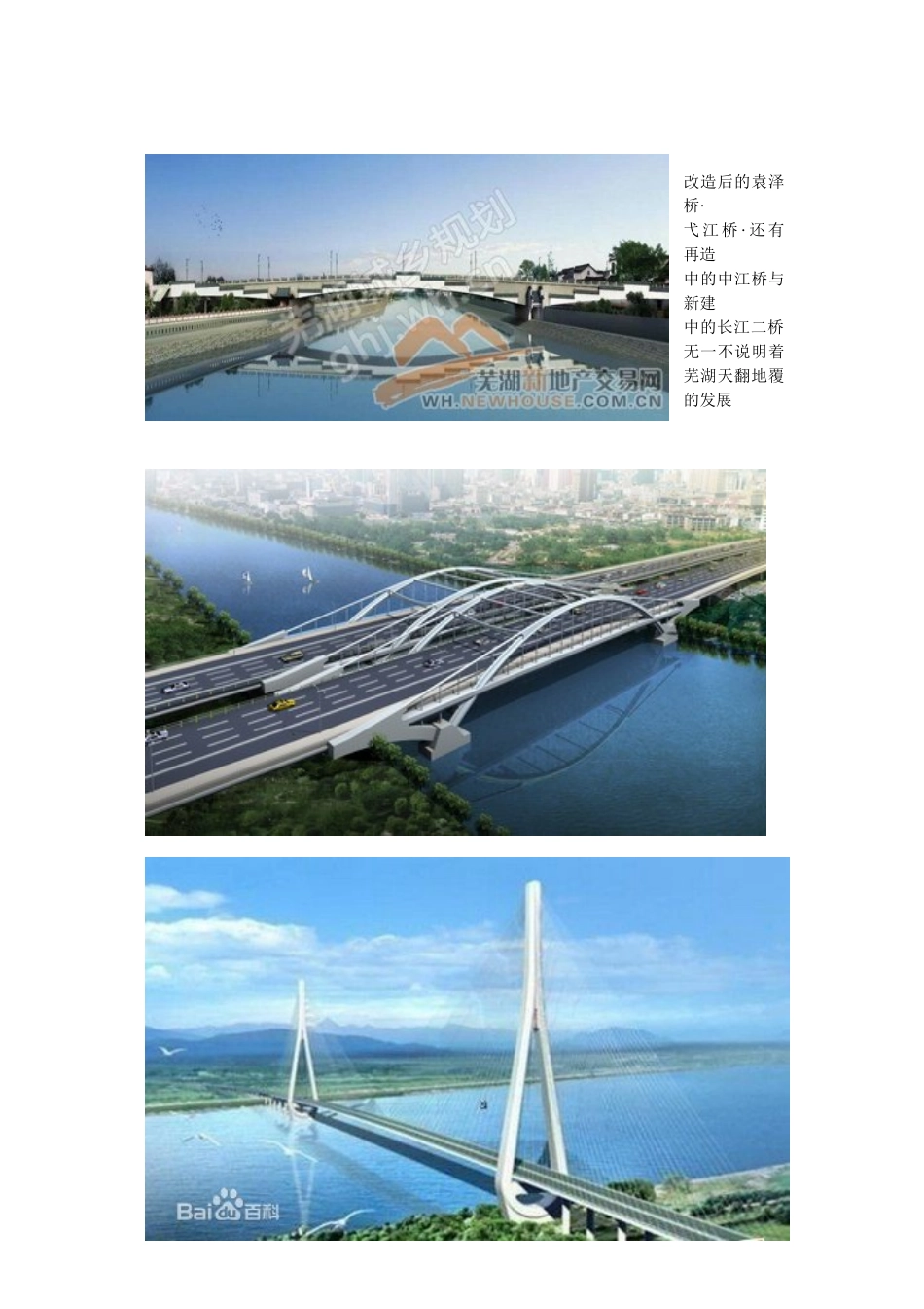 从桥的变化看芜湖的发展_第3页