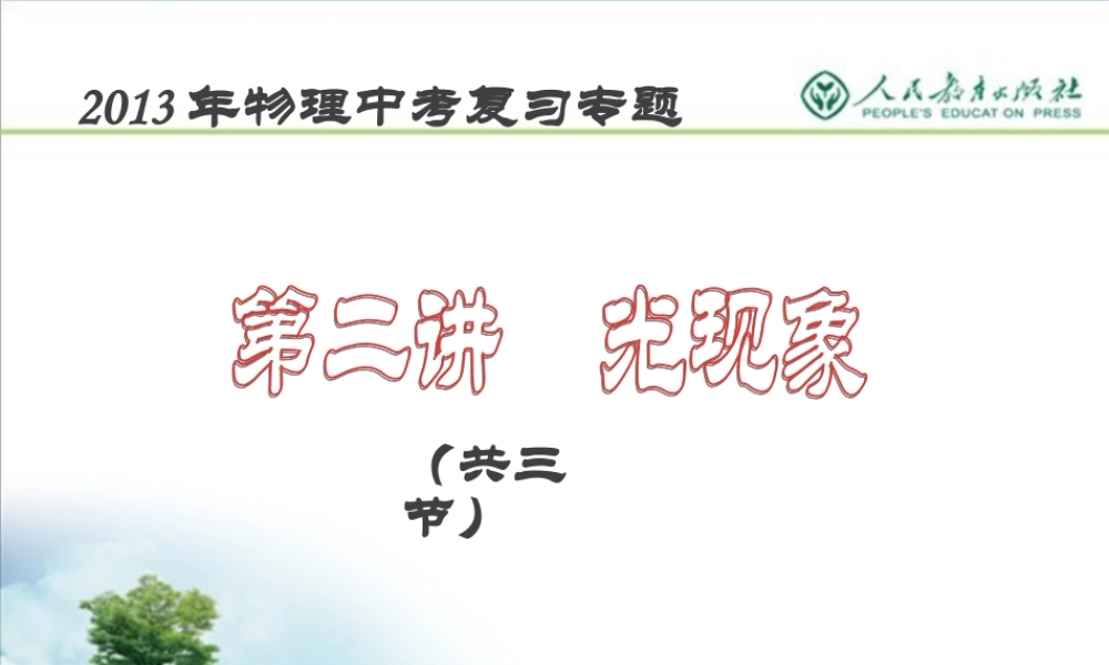 中考物理复习专题光现象