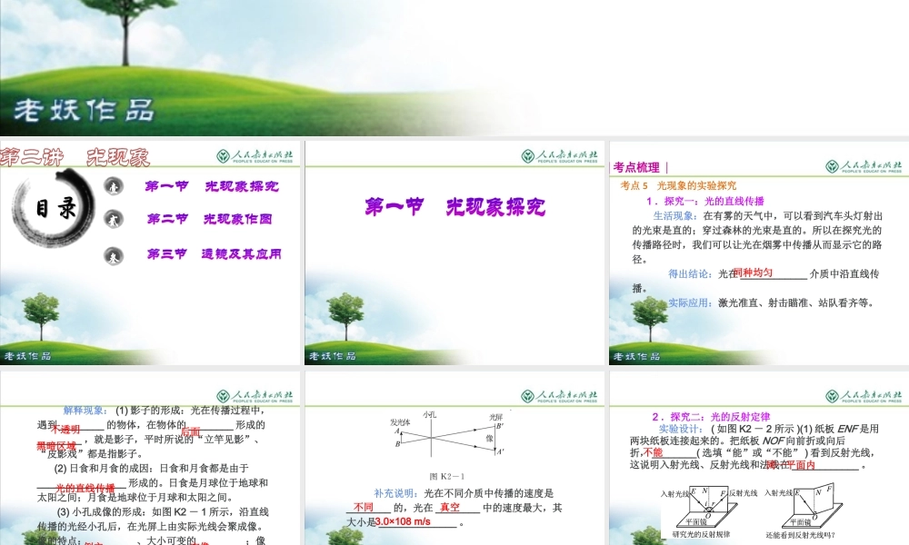 中考物理复习专题光现象