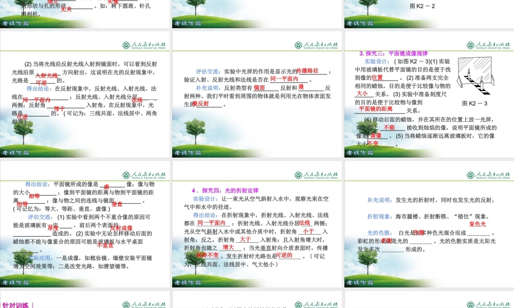 中考物理复习专题光现象