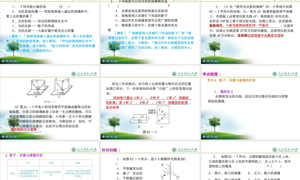 中考物理复习专题光现象