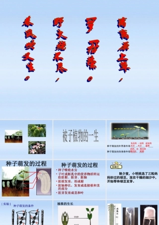 七年级生物上册 被子植物的一生复习课件 人教新课标版 课件
