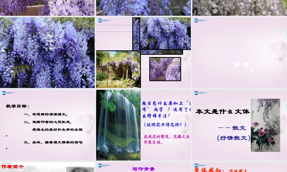 七年级语文上册《紫藤萝瀑布》课件