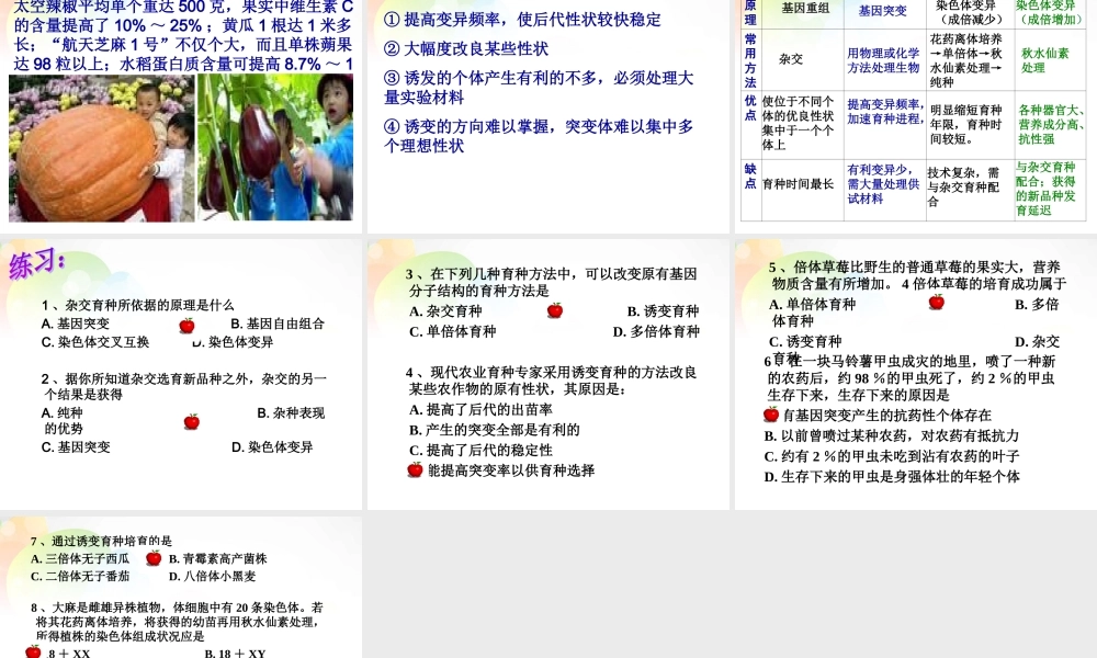 杂交育种和诱变育种