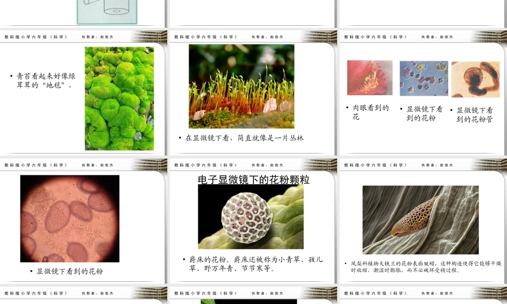 1-4怎样放得更大