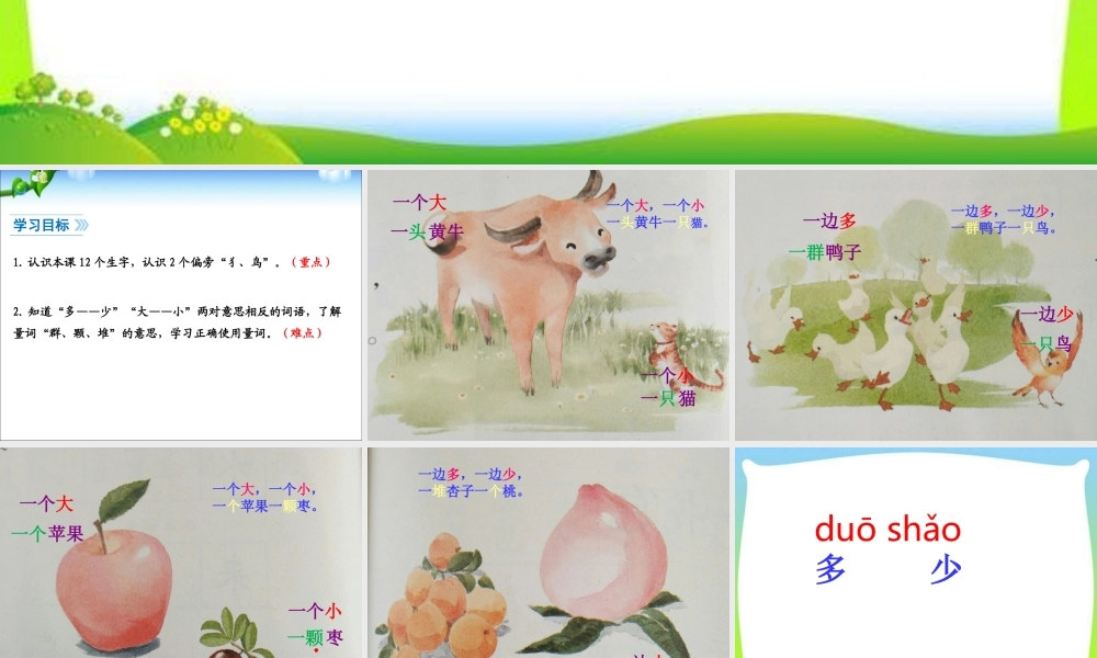 26马牛羊大小多少