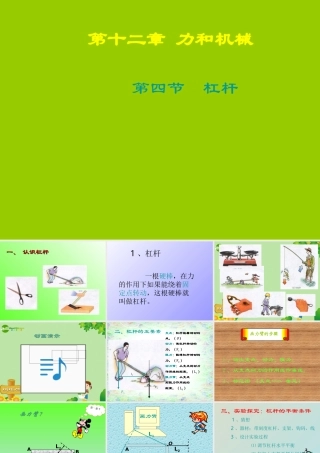 九年级物理 第四节杠杆课件人教新课标版 课件