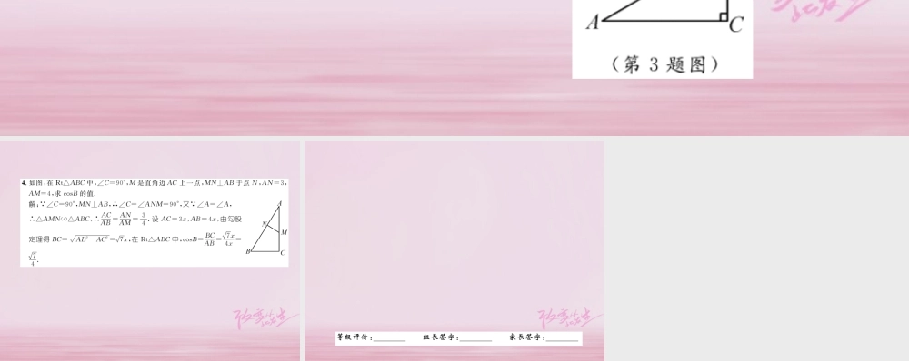 九年级数学上册 41 正弦和余弦(第3课时)锐角的余弦练习课件 (新版)湘教版 课件