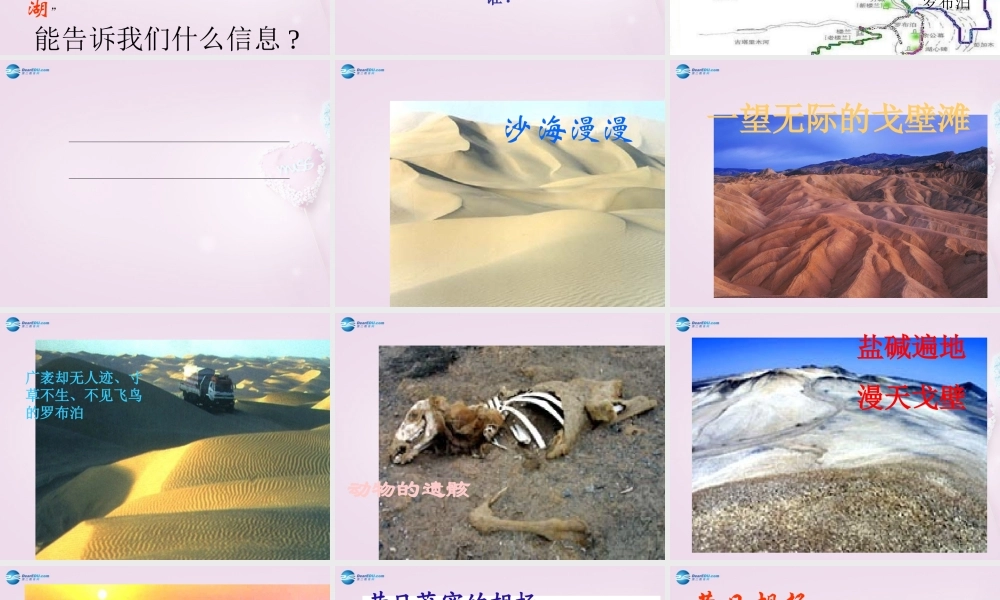 八年级语文下册 12(罗布泊，消逝的仙湖)课件3 新人教版 课件