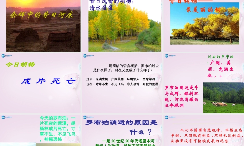 八年级语文下册 12(罗布泊，消逝的仙湖)课件3 新人教版 课件