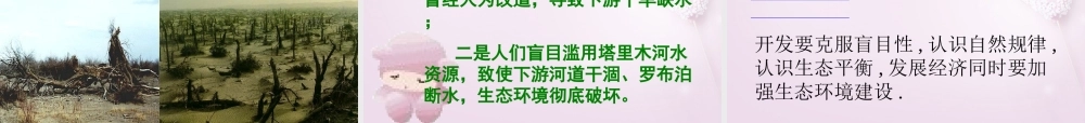 八年级语文下册 12(罗布泊，消逝的仙湖)课件3 新人教版 课件
