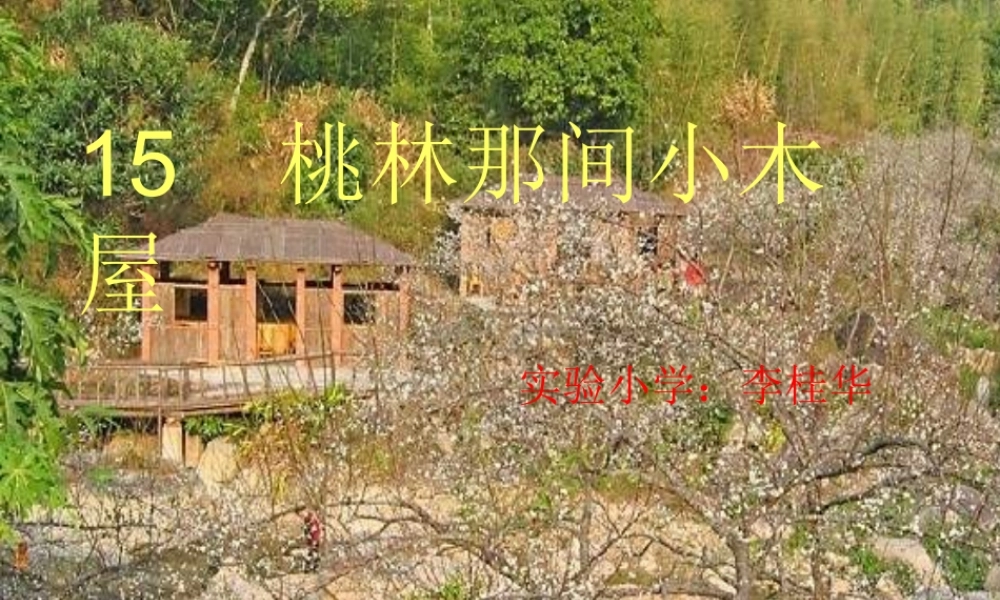 桃林那间小木屋