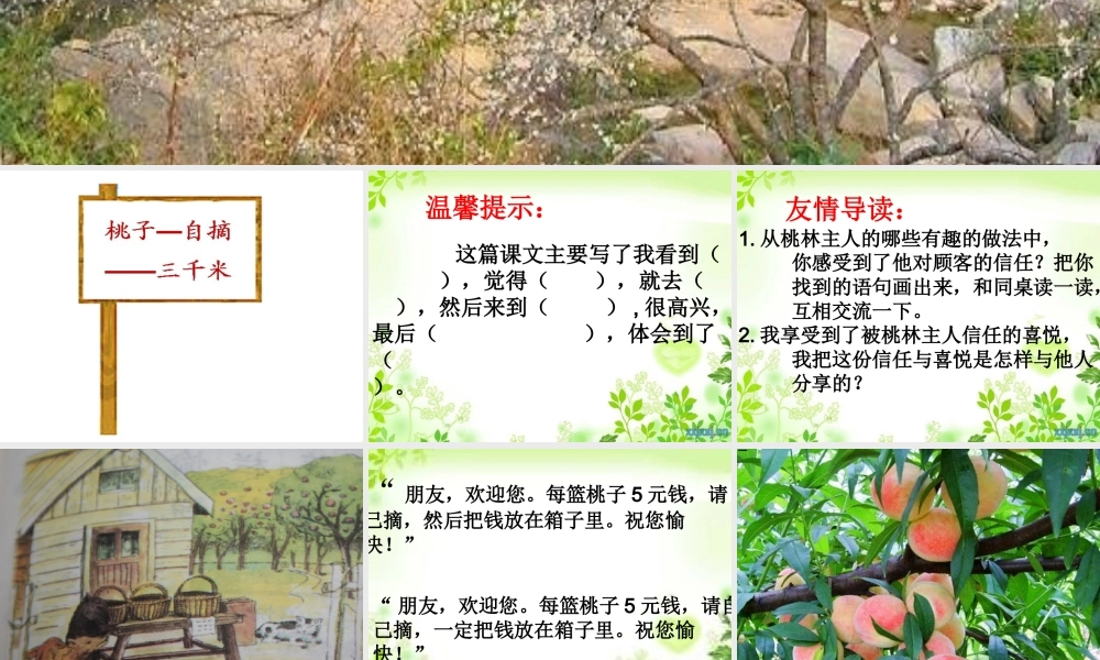 桃林那间小木屋