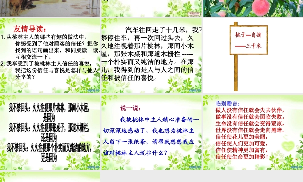 桃林那间小木屋