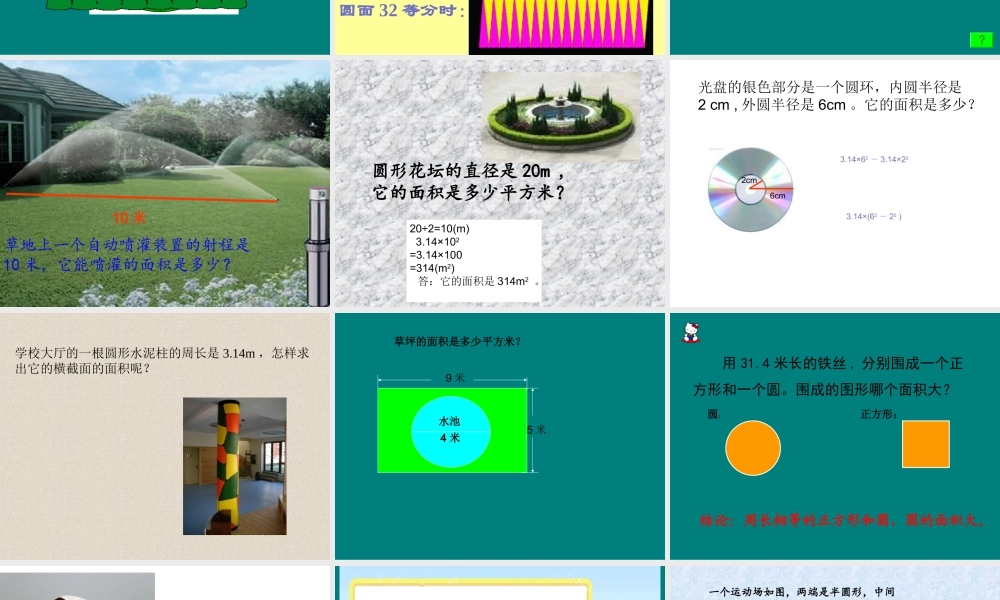 圆的面积 (8)