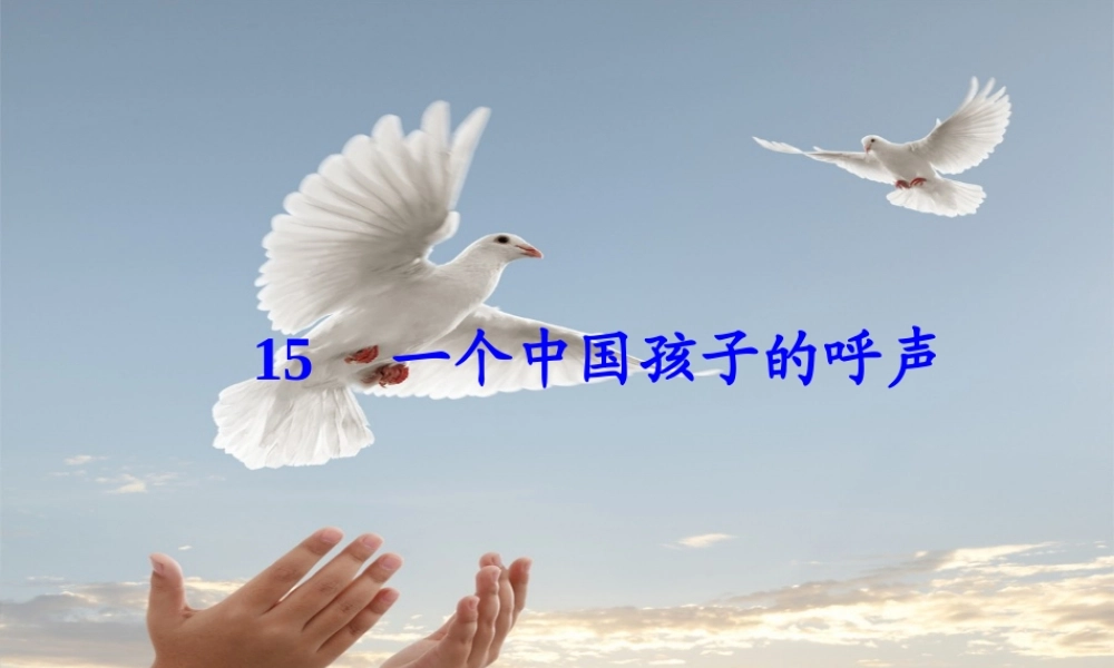 一个中国孩子的呼声1