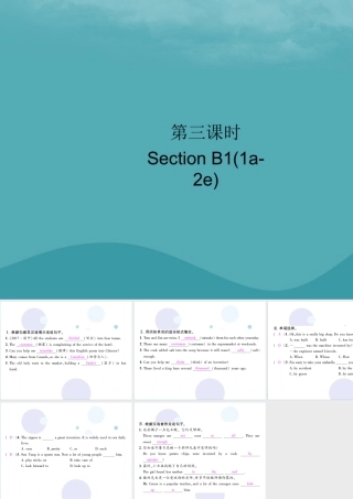 九年级英语全册 Unit 6 When was it invented(第3课时)Section B1(1a 2e)习题课件 (新版)人教新目标版 课件
