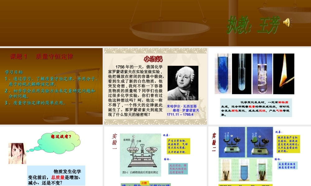 质量守恒定律 (5)