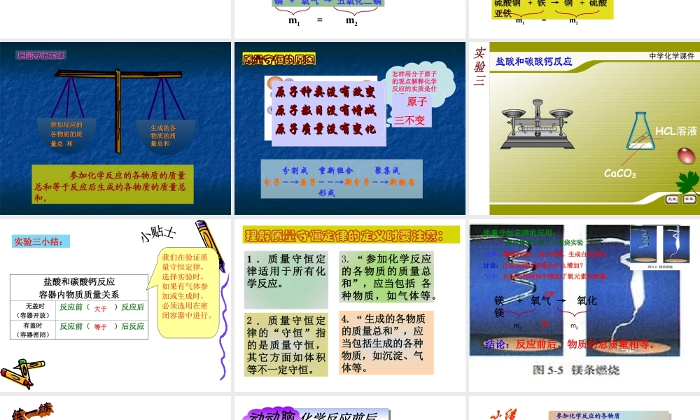 质量守恒定律 (5)