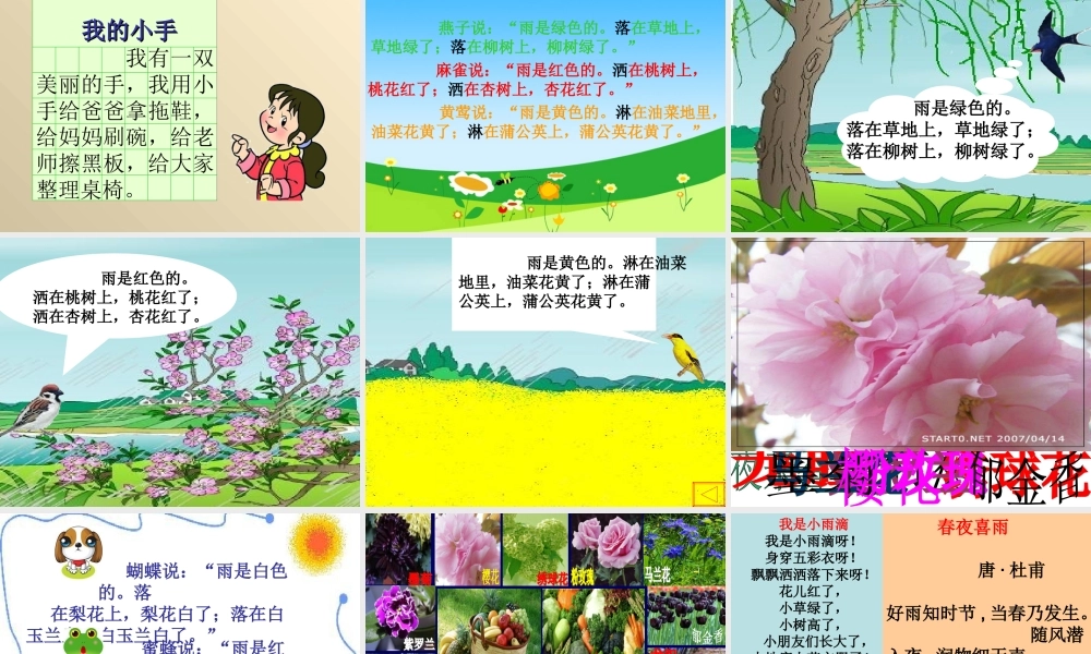 教科版一年级下册《春雨的颜色》