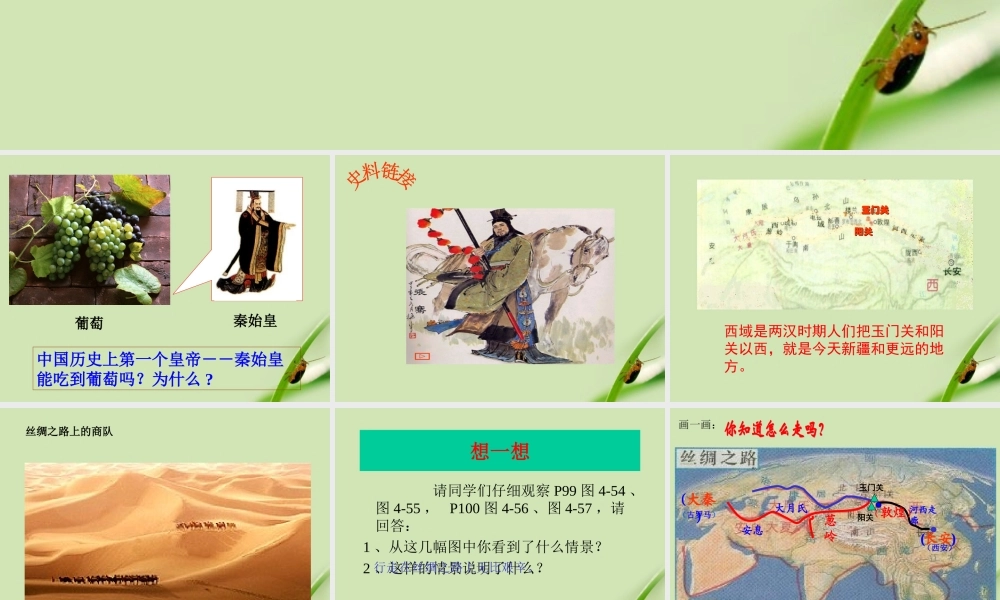 八年级历史上册 第二课汉唐盛世课件 人教新课标版 课件