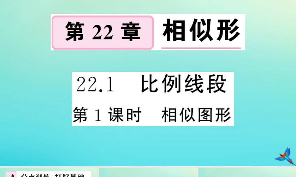 九年级数学上册 第22章 相似形 221 比例线段 第1课时 相似图形作业课件 (新版)沪科版 课件