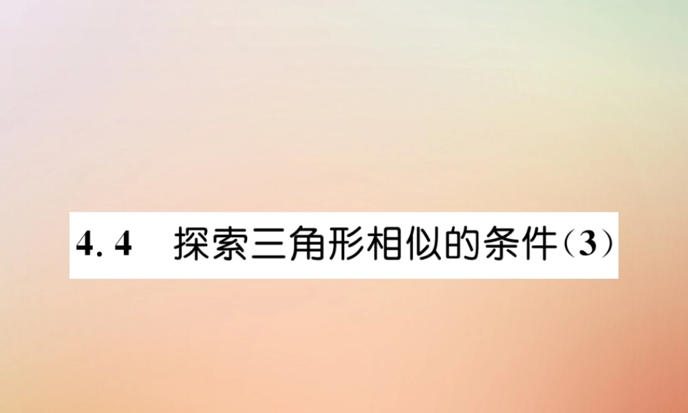 九年级数学上册 第4章 图形的相似 44 探索三角形相似的条件(3)作业课件 (新版)北师大版 课件
