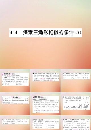 九年级数学上册 第4章 图形的相似 44 探索三角形相似的条件(3)作业课件 (新版)北师大版 课件
