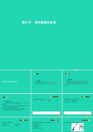 八年级生物上册 第四单元 第一章 第六节 芽的类型和发育(第1课时 芽的类型 结构及发育)课件 (新版)济南版 课件