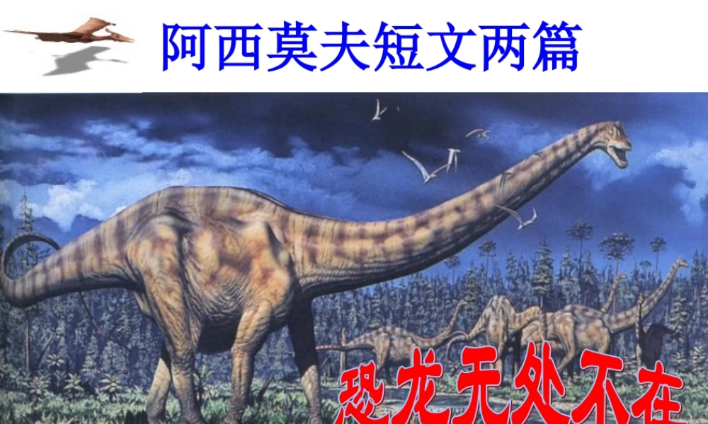 恐龙无处不在课件