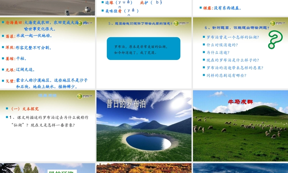 八年级语文下册 12.罗布泊，消逝的仙湖(浅层阅读+深层阅读+语文积累)课件 新人教版 课件