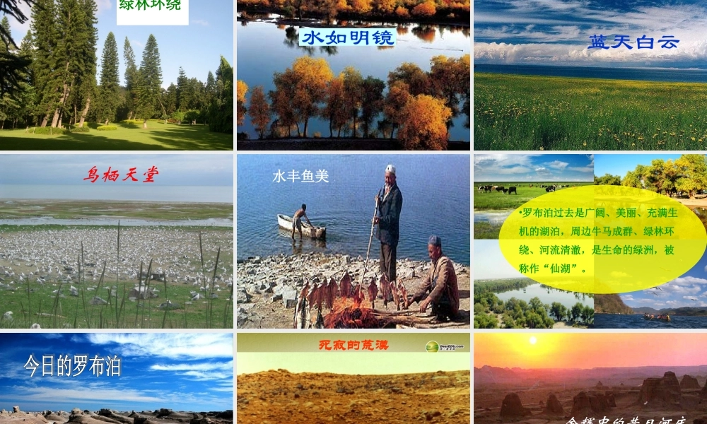 八年级语文下册 12.罗布泊，消逝的仙湖(浅层阅读+深层阅读+语文积累)课件 新人教版 课件