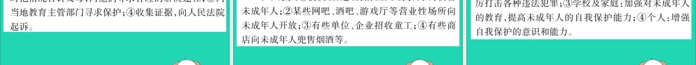 宁夏中考道德与法治考点复习 第二篇 第二板块 法律部分 第6课时 特殊保护课件