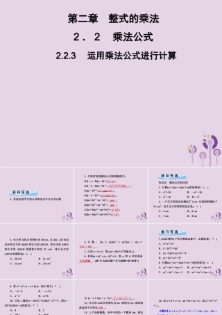 七年级数学下册 第2章(整式的乘法)2.2 乘法公式 2.2.3 运用乘法公式进行计算习题课件 (新版)湘教版 课件