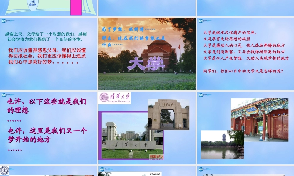 中学主题班会(放飞理想 我心飞翔)课件