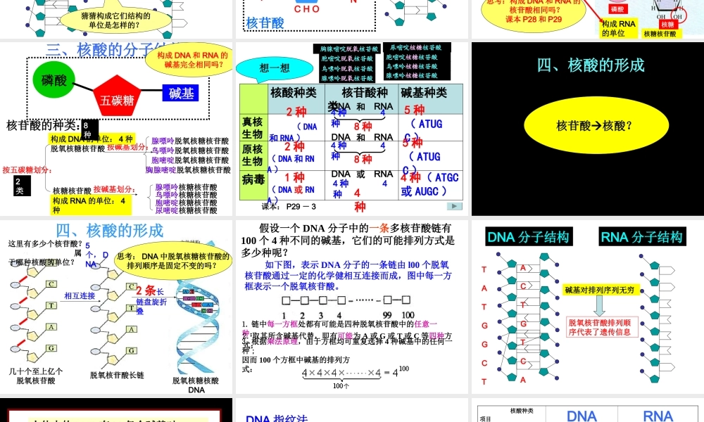 科学前沿组装细胞