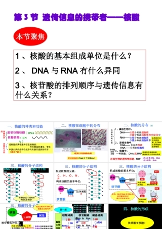 科学前沿组装细胞