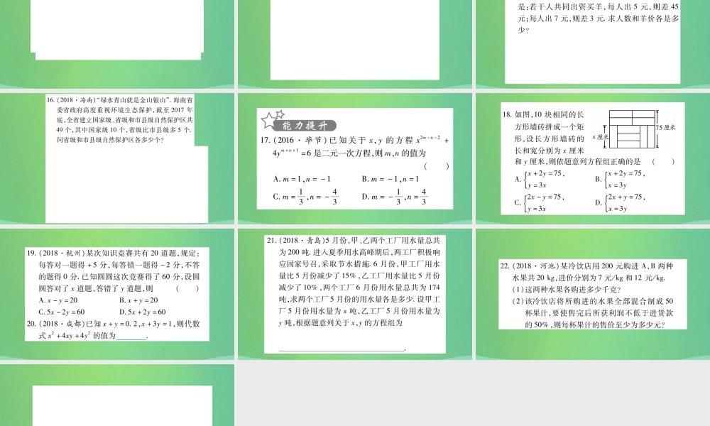 中考数学复习 第一轮 考点系统复习 第二章 方程(组)与不等式(组)第一节 一次方程(组)及其应用(精练)课件
