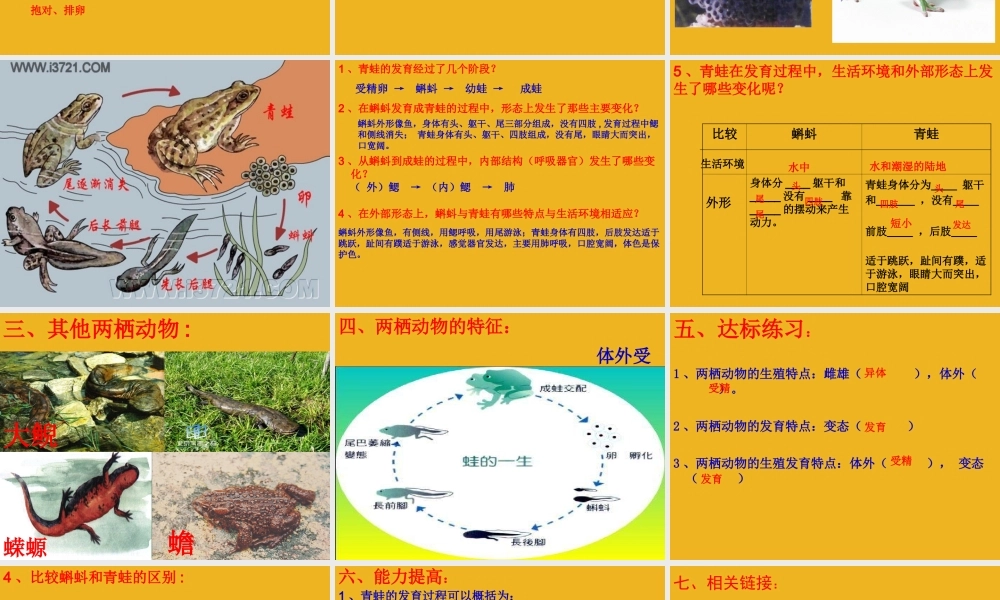 八年级生物上册 两栖动物的生殖发育课件