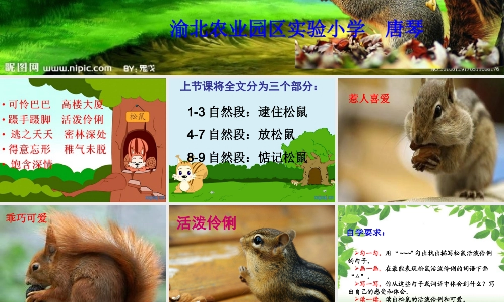 那只松鼠定稿222