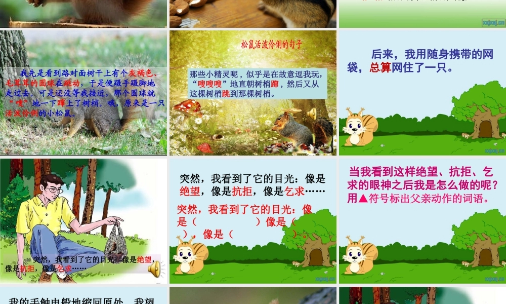 那只松鼠定稿222