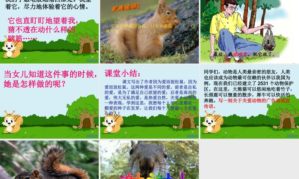 那只松鼠定稿222