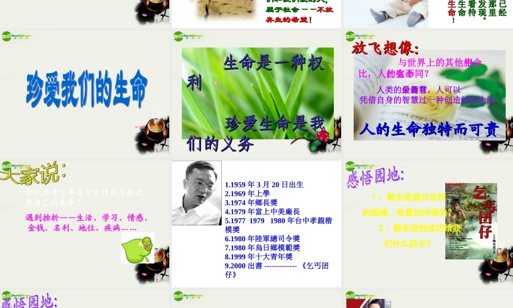 八年级政治下册(珍爱生命)课件1 北师大版 课件