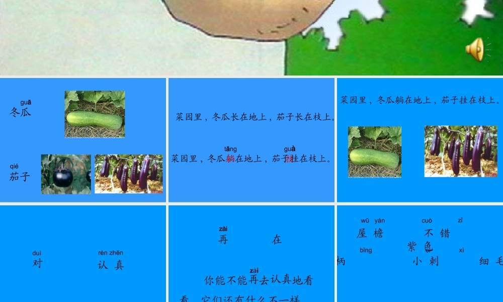 人教版小学语文一年级上册《菜园里》PPT课件