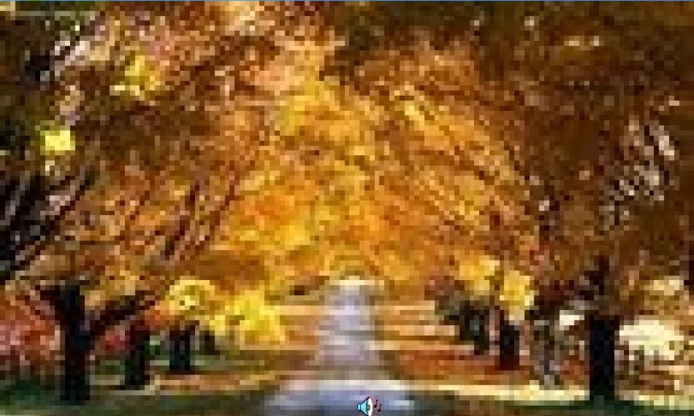 七年级语文下册 第一单元 第4课(未选择的路)课件 人教新课标版 课件