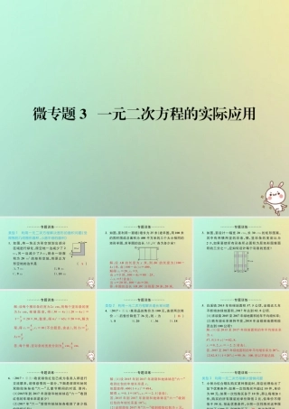 九年级数学上册 微专题3 一元二次方程的实际应用习题课件 (新版)新人教版 课件