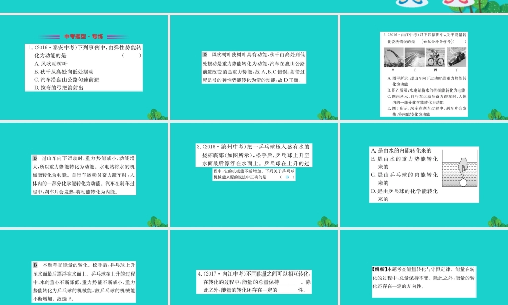 九年级物理全册 能量的转化与守恒习题课件 (新版)沪科版 课件