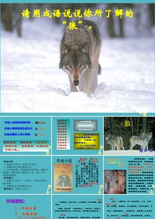 七年级语文上册 第五单元 18 狼课件 新人教版 课件