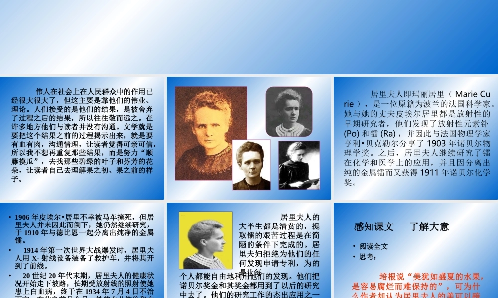 跨越百年的美丽 (3)